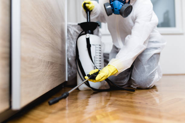 Best Affordable Pest Control Services  in North Cape May, NJ