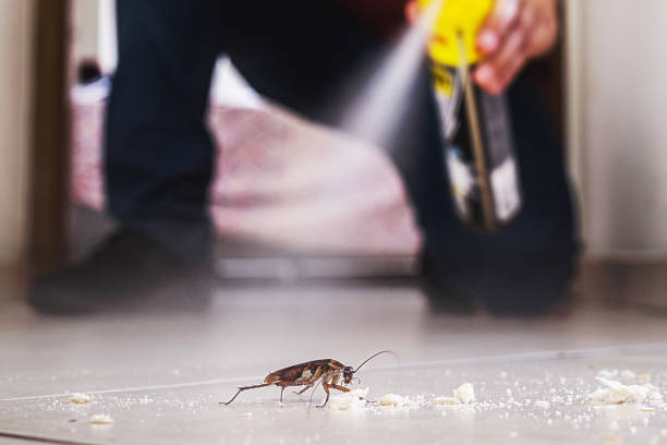 Best Residential Pest Control  in North Cape May, NJ