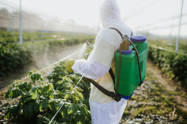 Best Best Pest Control Companies  in North Cape May, NJ